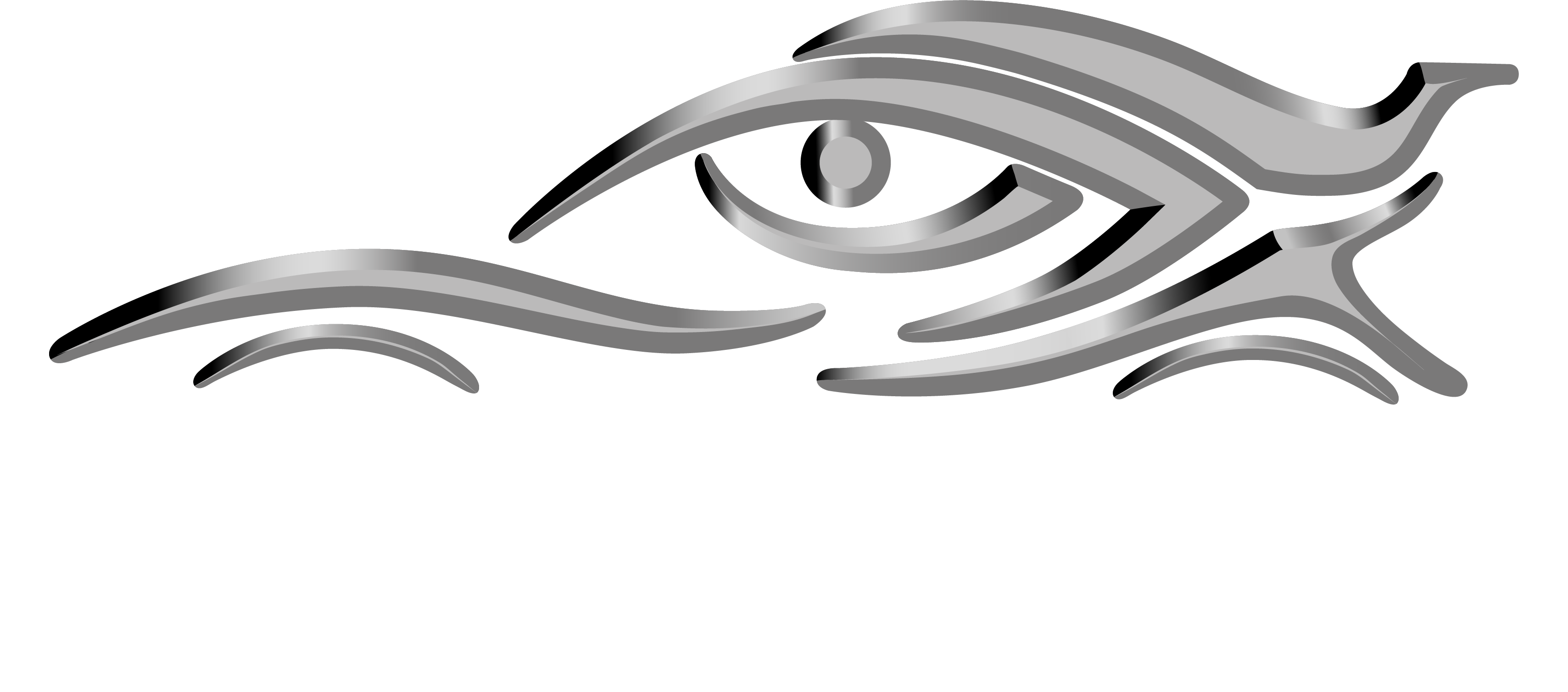Auto Visions Unlimited